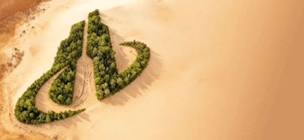 莫干山板材“五大标准”重新定义高端美学丨一场家与未来的「前所未见」11.18