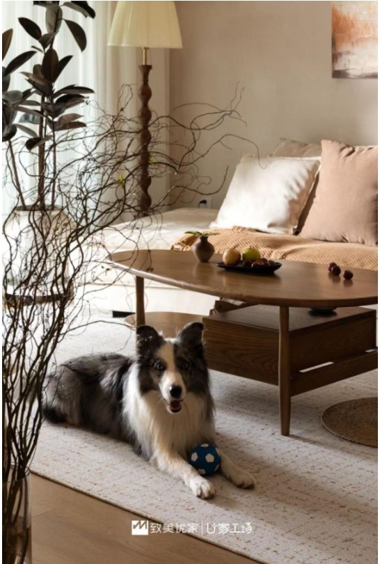 2025成都装修攻略｜个性化定制设计，这几家宝藏公司带你解锁专属家居美学