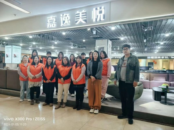 香河家具制造公司推荐：嘉逸美家具，深耕软体家居铸就行业优选